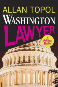 wash lawyer cover work 1.indd